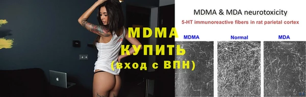 индика Алзамай