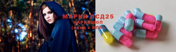 индика Алзамай