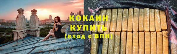 индика Алзамай