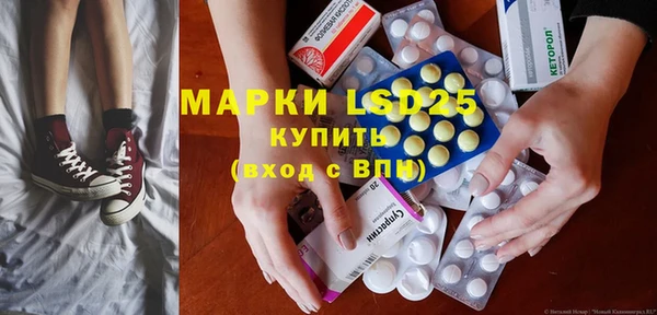 индика Алзамай