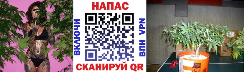 Канабис LSD WEED  блэк спрут вход  Казань 